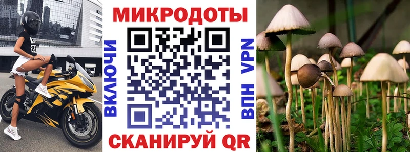 Галлюциногенные грибы мицелий  Бакал 