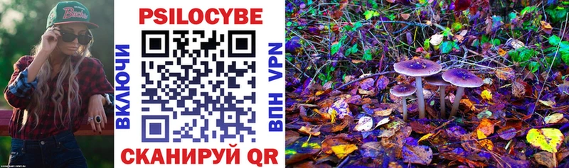 Галлюциногенные грибы мухоморы Бакал